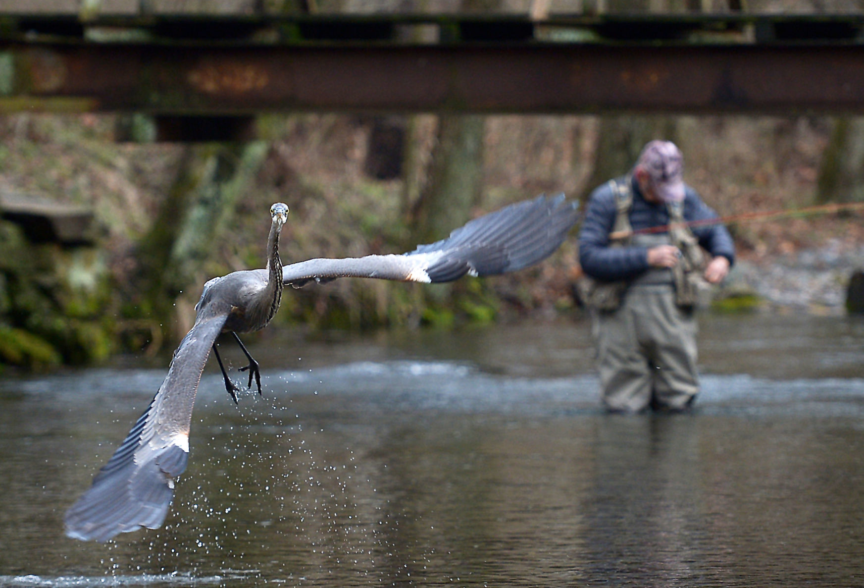 Fly fishing